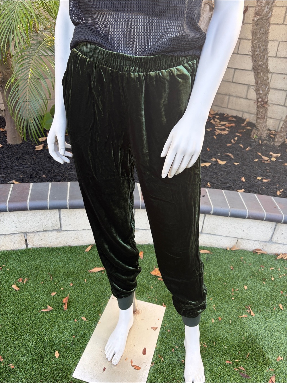Women’s Gold Hawk Velvet Jogger Pants - Dark Green